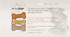 Desktop Screenshot of airedale-ginger.com